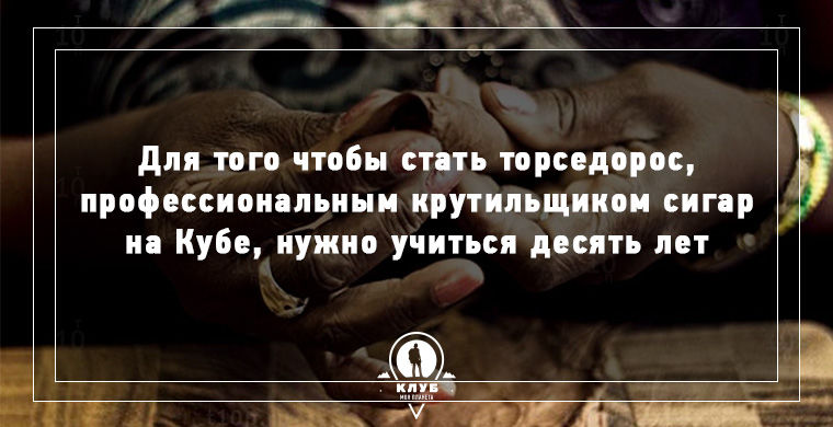 9 фактов о самых необычных, редких и странных профессиях факты о редких профессиях, странные и редкие профессии