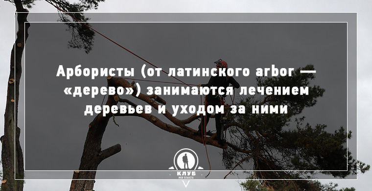 9 фактов о самых необычных, редких и странных профессиях факты о редких профессиях, странные и редкие профессии