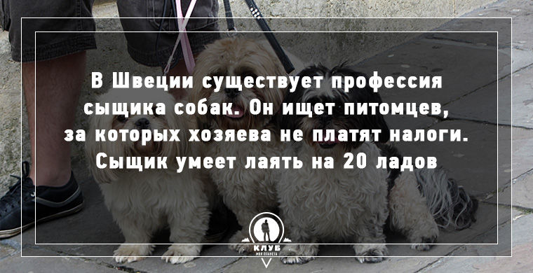 9 фактов о самых необычных, редких и странных профессиях факты о редких профессиях, странные и редкие профессии