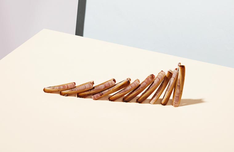 Флоран Танэ, Florent Tanet, фотографии хрупкого баланса, ненадежные фотографии