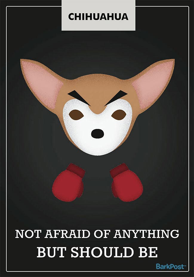 слоганов собак разных пород, смешные и правдивые слоганы собак, если бы собаки были брендами