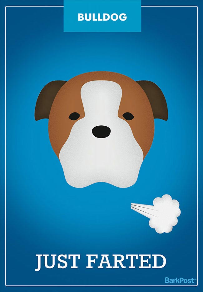 слоганов собак разных пород, смешные и правдивые слоганы собак, если бы собаки были брендами