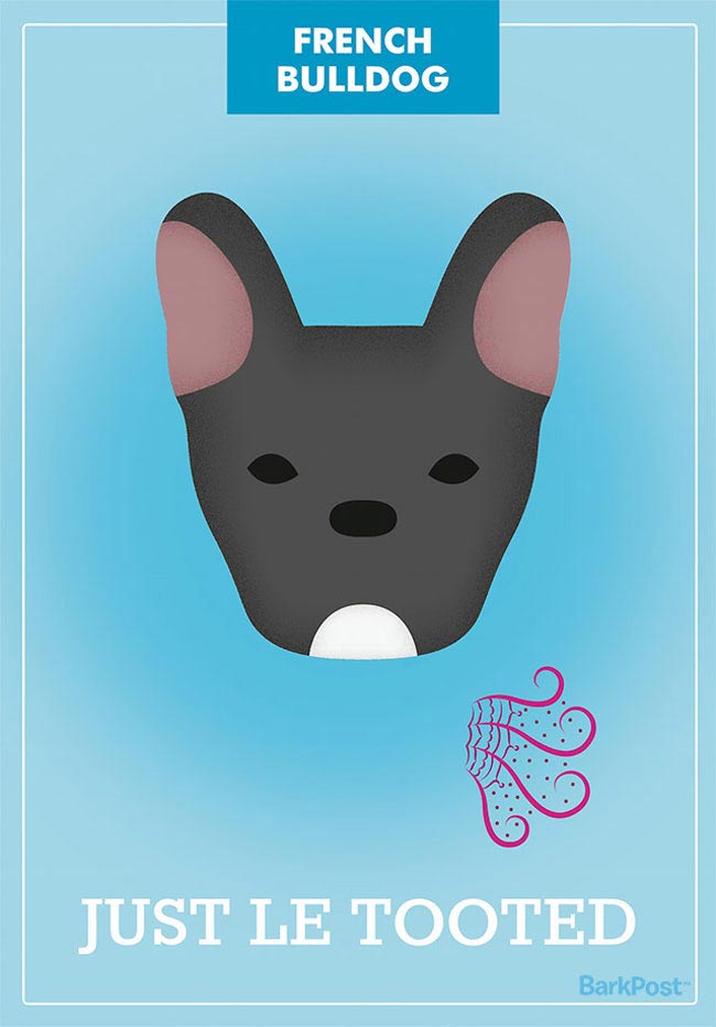 слоганов собак разных пород, смешные и правдивые слоганы собак, если бы собаки были брендами