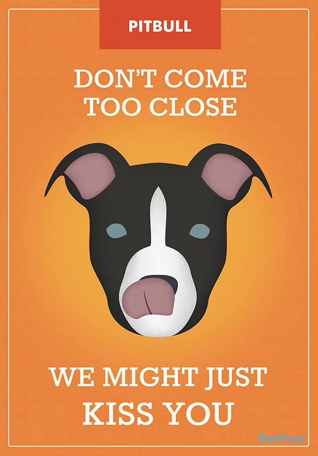 слоганов собак разных пород, смешные и правдивые слоганы собак, если бы собаки были брендами