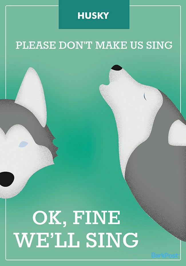 слоганов собак разных пород, смешные и правдивые слоганы собак, если бы собаки были брендами