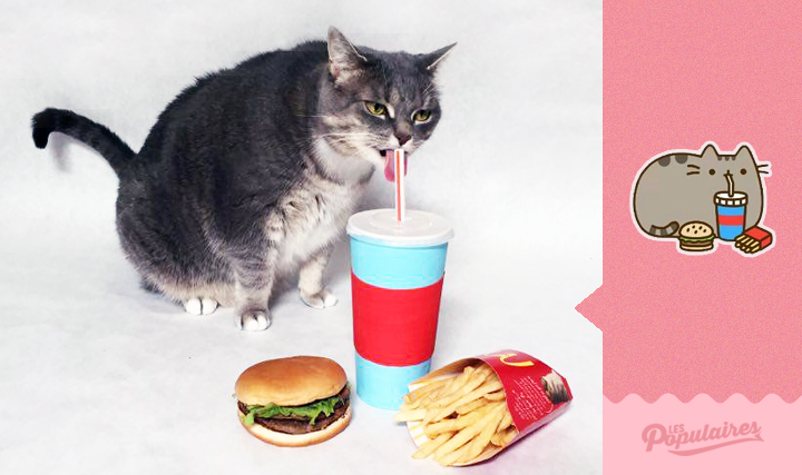 Парень воссоздаёт стикеры с котом Пушином, Жульен Териен, Julien Therrien