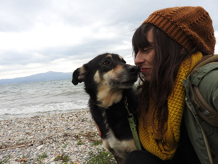 ‘окаменевшая’ собака, собака Петра, спасение окаменевшей собаки Петры