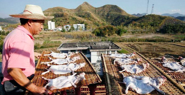 национальные особенности жителей Китая, всё о китайцах