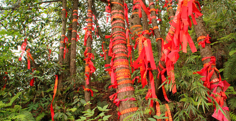 национальные особенности жителей Китая, всё о китайцах