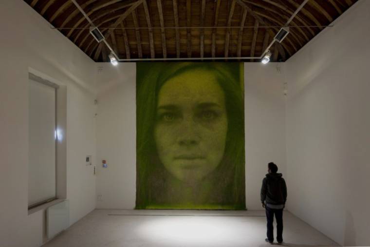 печать фотографии на траве, как распечатать фотографию на траве