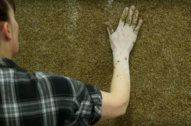 печать фотографии на траве, как распечатать фотографию на траве