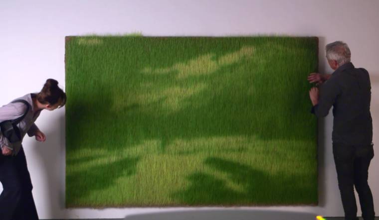 печать фотографии на траве, как распечатать фотографию на траве