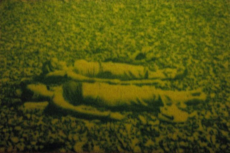 печать фотографии на траве, как распечатать фотографию на траве