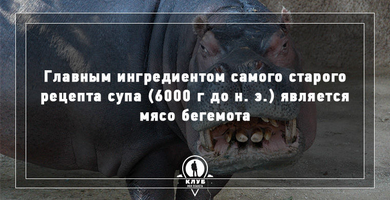 факты о еде, факты о происхождении еды