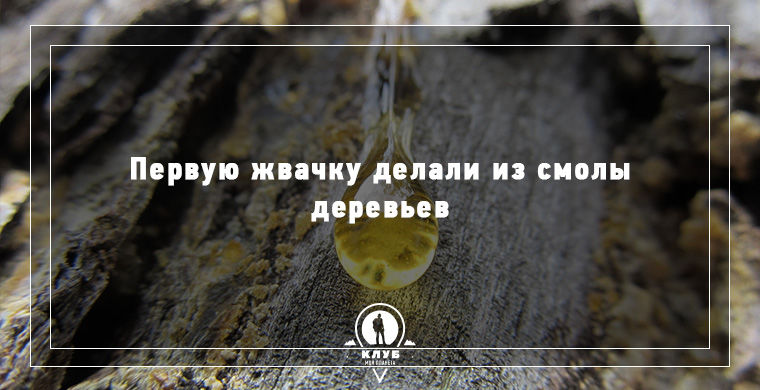 факты о еде, факты о происхождении еды