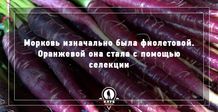 факты о еде, факты о происхождении еды