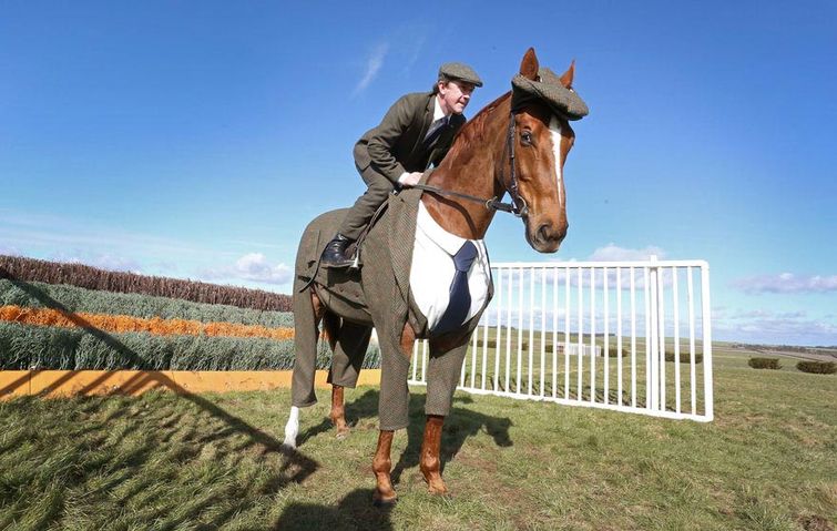 конь в твидовом костюме тройке, конь в костюме тройке