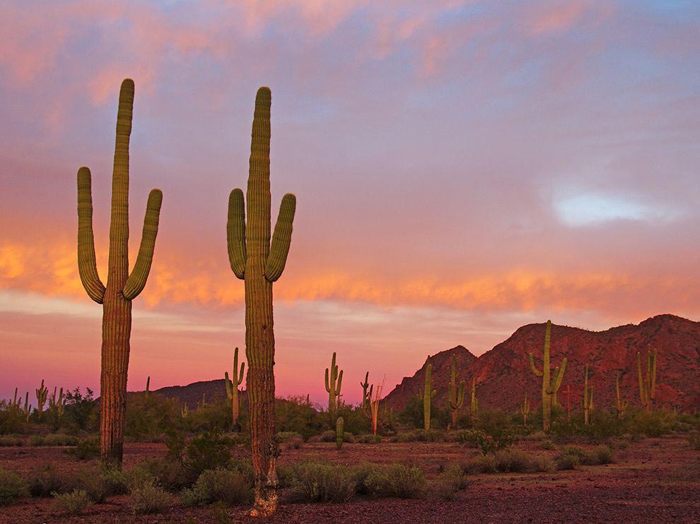 National Geographic за март 2016, лучшие фотографии National Geographic за февраль