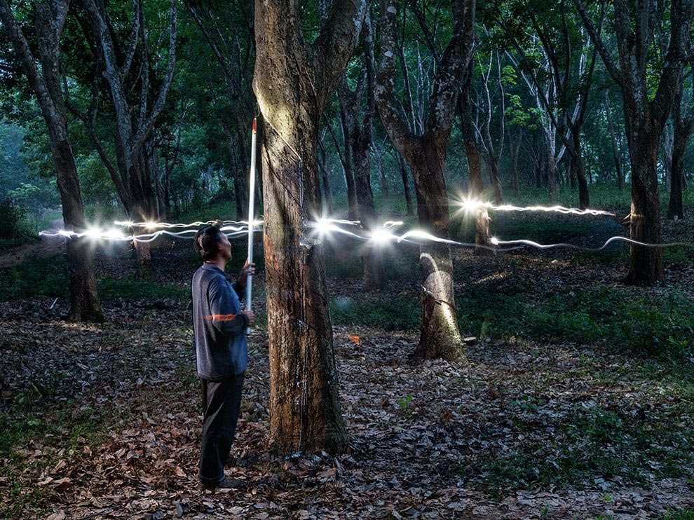 National Geographic за март 2016, лучшие фотографии National Geographic за февраль