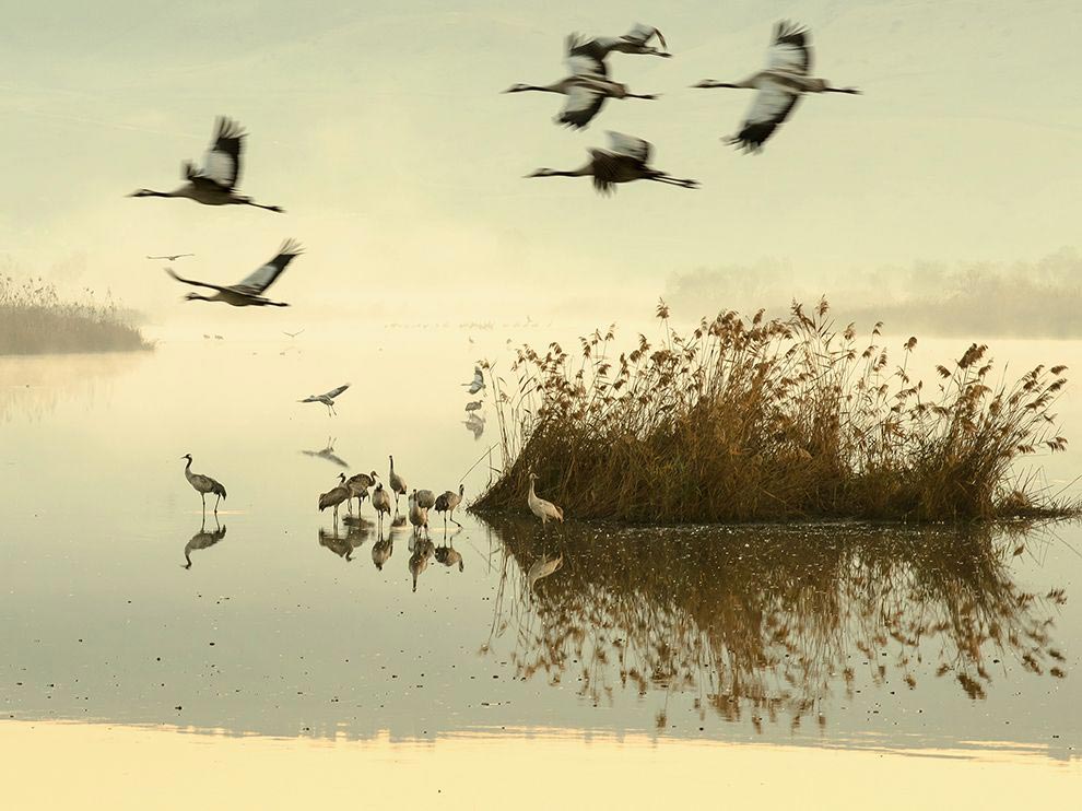 National Geographic за март 2016, лучшие фотографии National Geographic за февраль