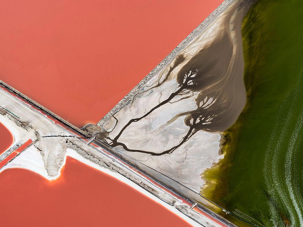 National Geographic за март 2016, лучшие фотографии National Geographic за февраль