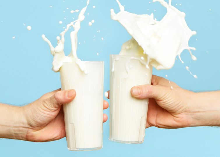 распространённые заблуждения о жирах, мифы о жирах