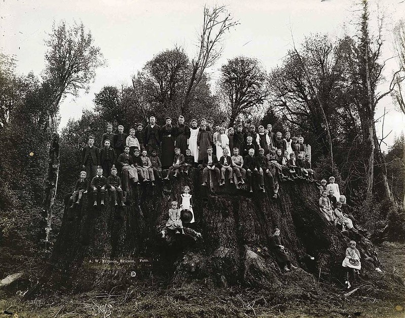 Исторические кадры, редкие архивные фотографии, исторические события, редкие фото звёзд