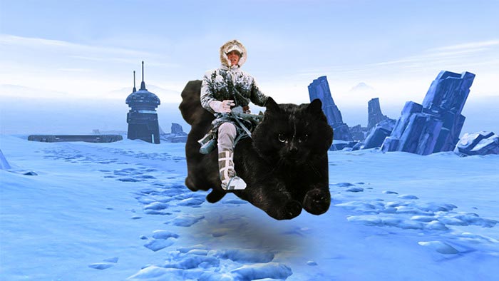 битва фотошоперов кот на поле, фотожабы кот на поле регби, Путин на коте