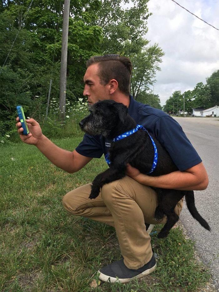 игроки pokemon go выгуливают собак