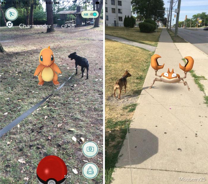 игроки pokemon go выгуливают собак