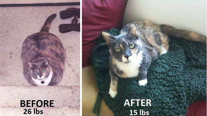 люди похудели. похудевшие люди, люди сбросившие вес