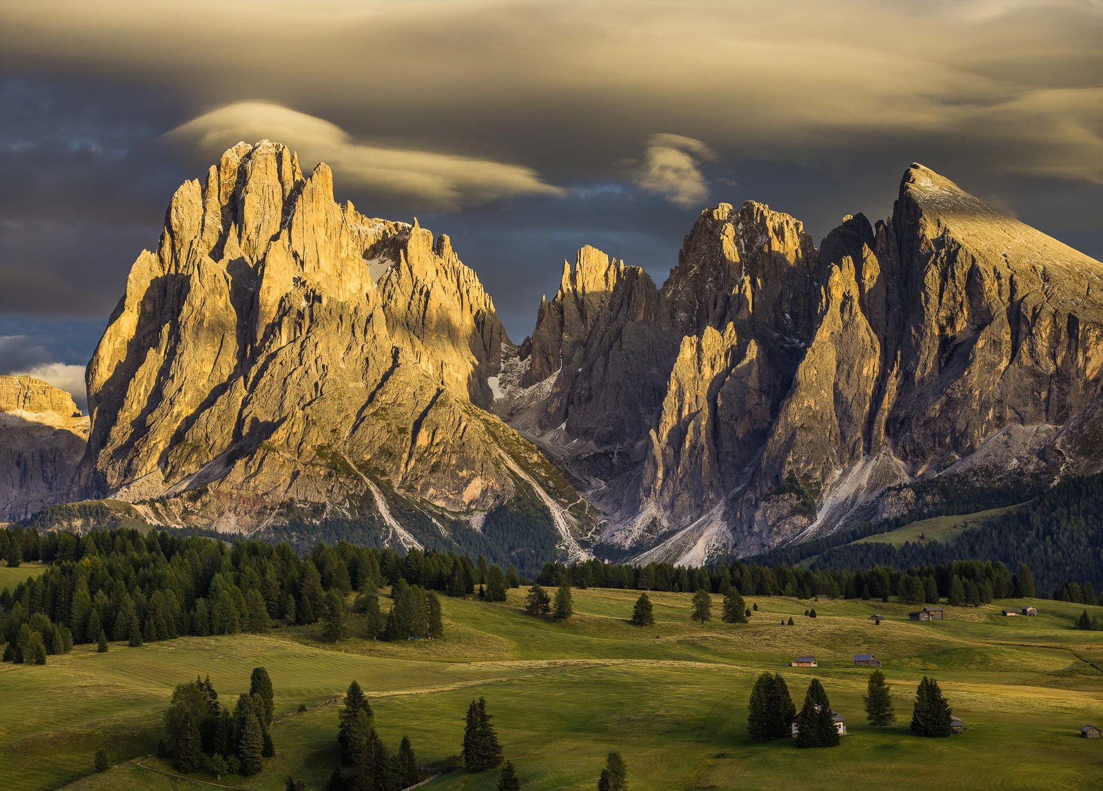 окружающий мир, без фотошопа