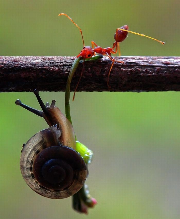 окружающий мир, без фотошопа