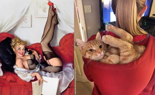 пинап плакаты и кошки, сравнение пинап с кошками, пинап и кошки в одинаковых позах