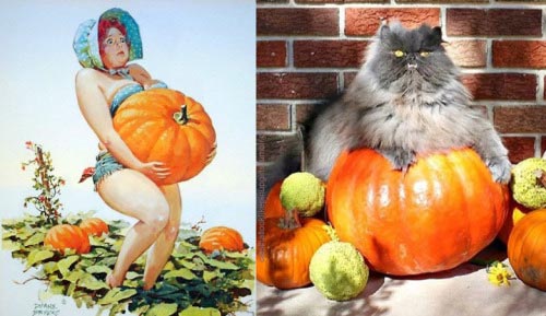 пинап плакаты и кошки, сравнение пинап с кошками, пинап и кошки в одинаковых позах