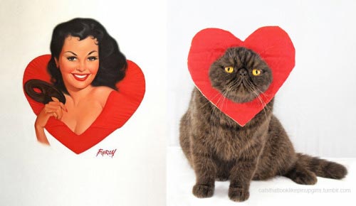 пинап плакаты и кошки, сравнение пинап с кошками, пинап и кошки в одинаковых позах