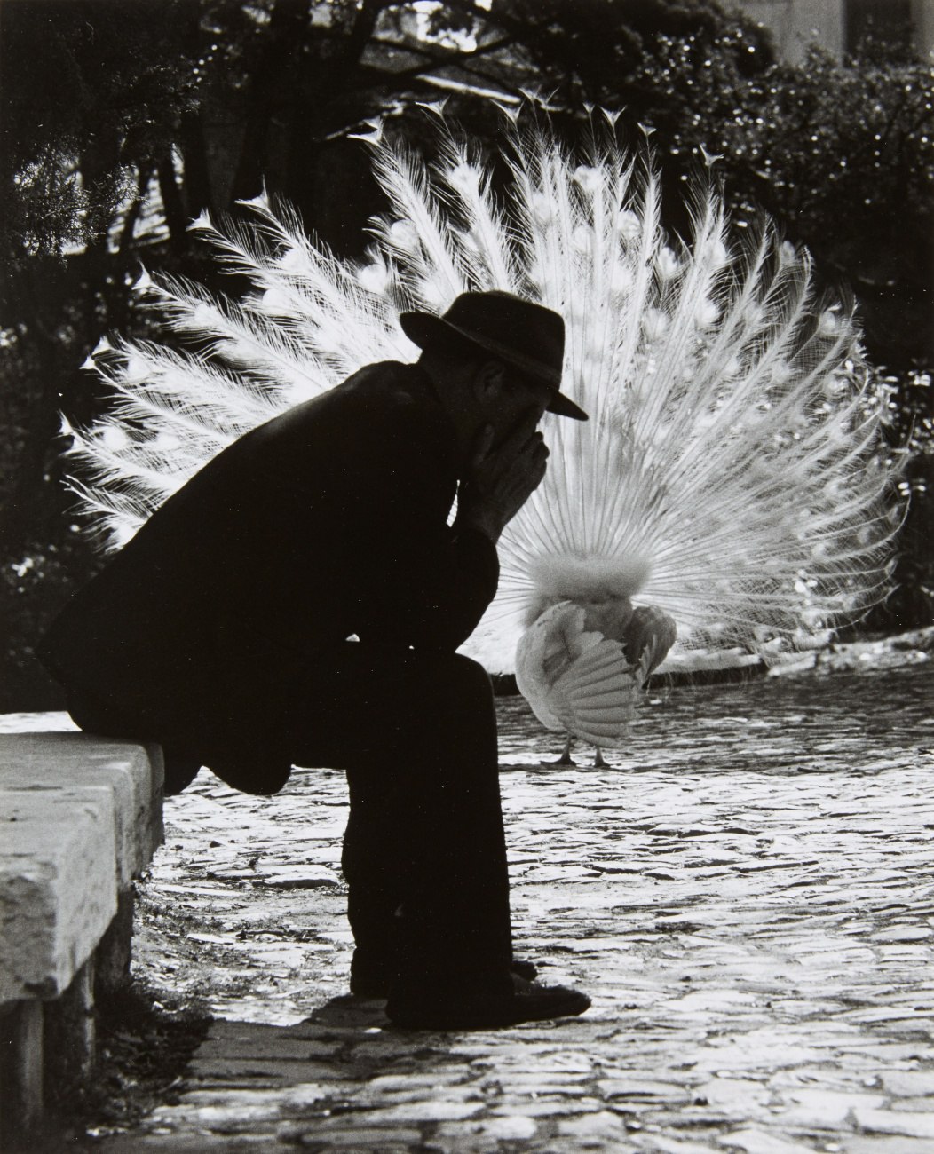 Исторические кадры, редкие архивные фотографии, исторические события, редкие фото звёзд