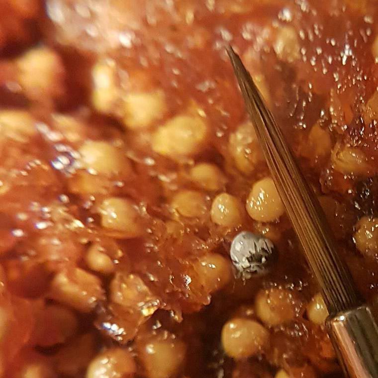 Фантастические микрокартины, нарисованные на маленьких и совсем крошечных предметах микрокартины, микроарт, Хасан Кале ,Hasan Kale, картины на крошечных предметах