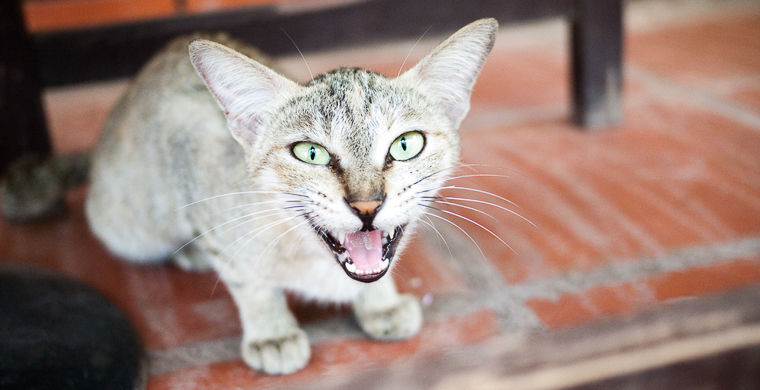 что не принято дарить в разных странах, нельзя дарить