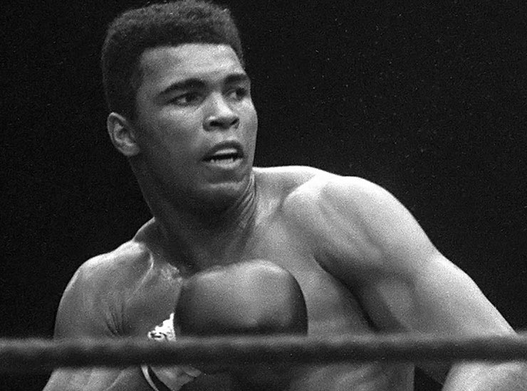 звёзды которых мы потеряли в 2016 году, кто умер в 2016