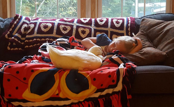 девочка и утка, дружба 5-летней девочки и её утки