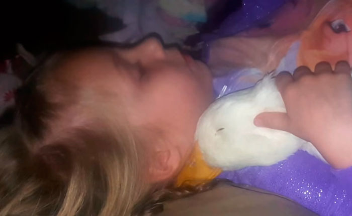 девочка и утка, дружба 5-летней девочки и её утки