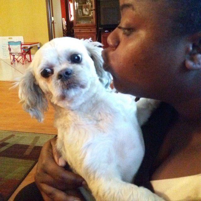 животные не любят целоваться, животные не хотят целоваться, питомец больше не любит