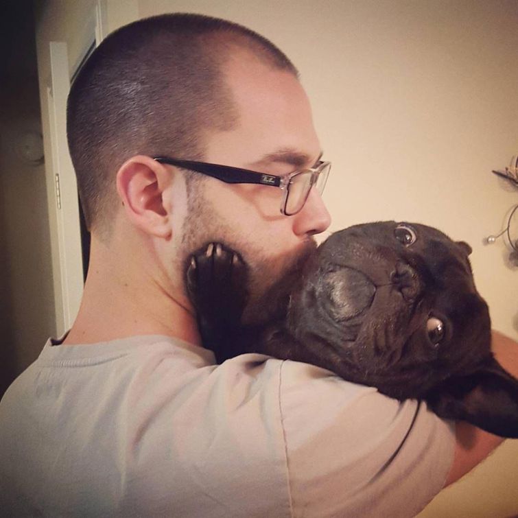 животные не любят целоваться, животные не хотят целоваться, питомец больше не любит