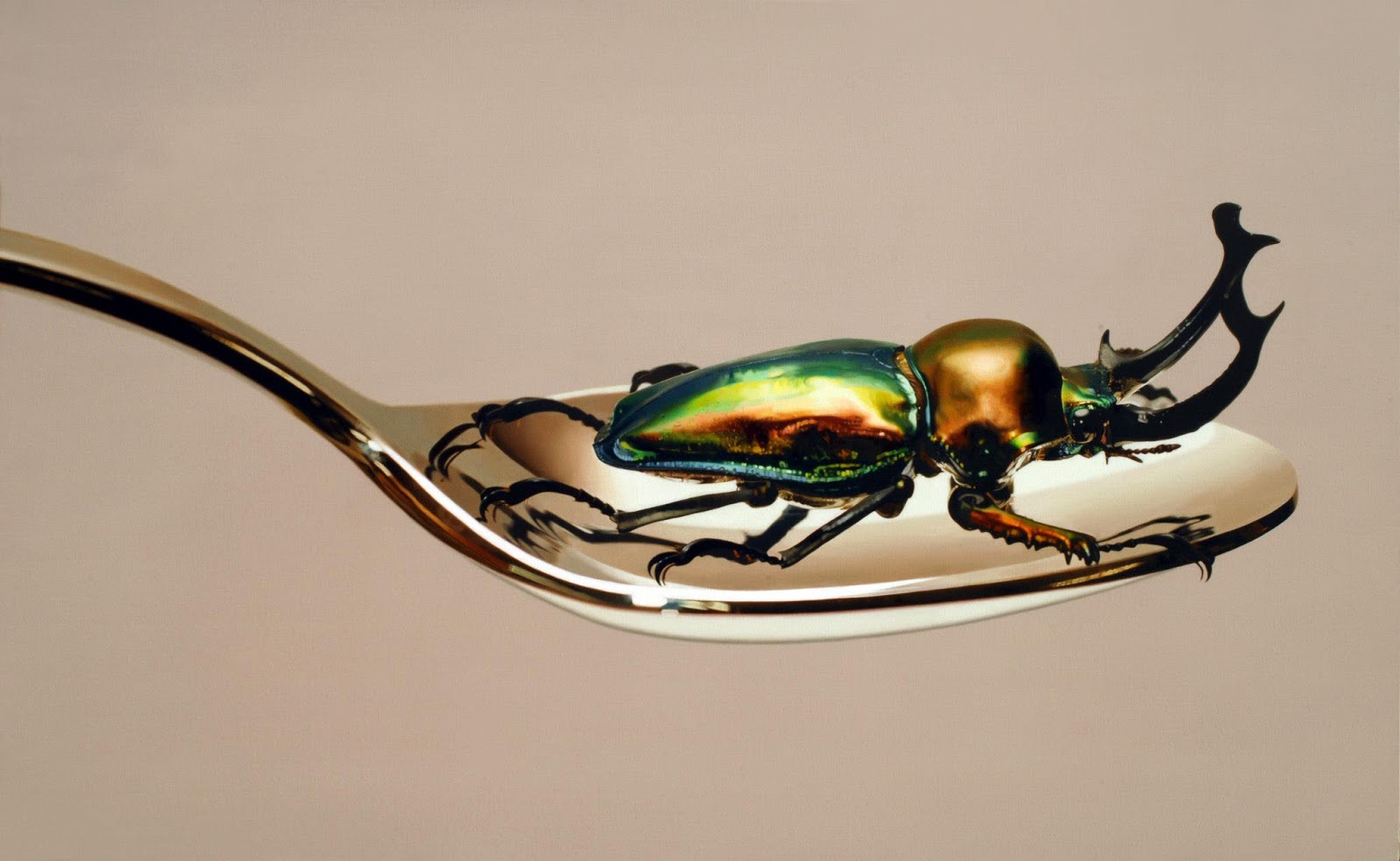 гиперреалистичные картины, картины которые сложно отличить от фотографий