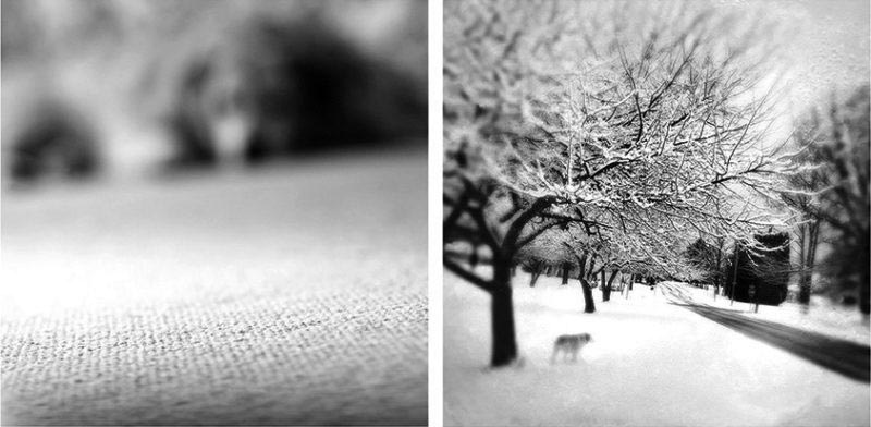 дань памяти умершей собаке, Екатерина Панебьянко, Catherine Panebianco, Benny Was a Good Boy, Бенни был хорошим мальчиком