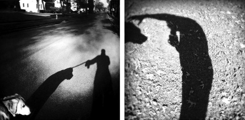 дань памяти умершей собаке, Екатерина Панебьянко, Catherine Panebianco, Benny Was a Good Boy, Бенни был хорошим мальчиком