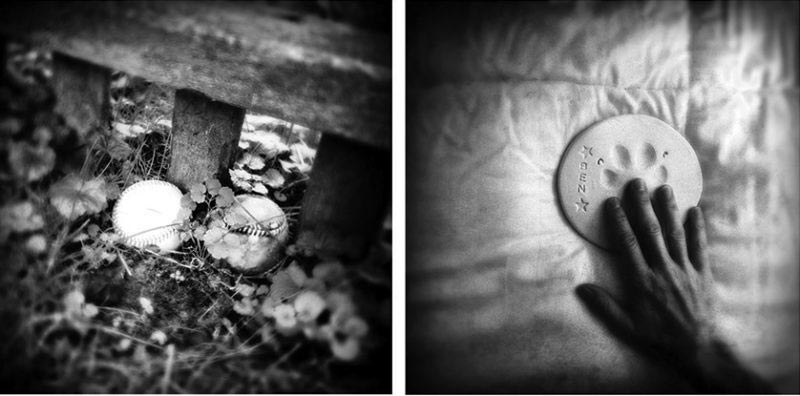 дань памяти умершей собаке, Екатерина Панебьянко, Catherine Panebianco, Benny Was a Good Boy, Бенни был хорошим мальчиком