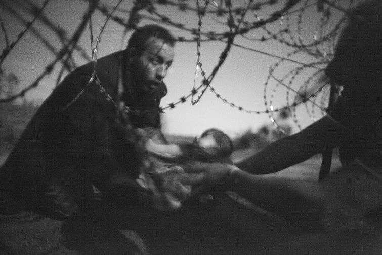 победители World Press Photo Contest 2016, World Press Photo Contest 2016