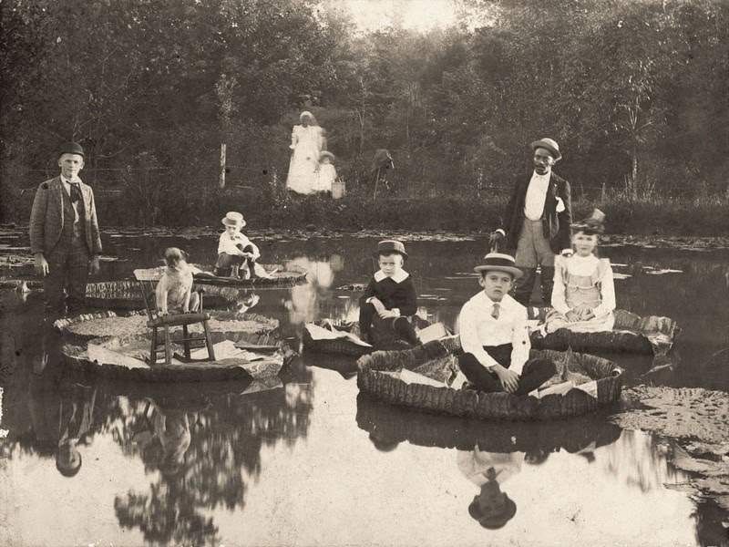 Исторические кадры, редкие архивные фотографии, исторические события, редкие фото звёзд